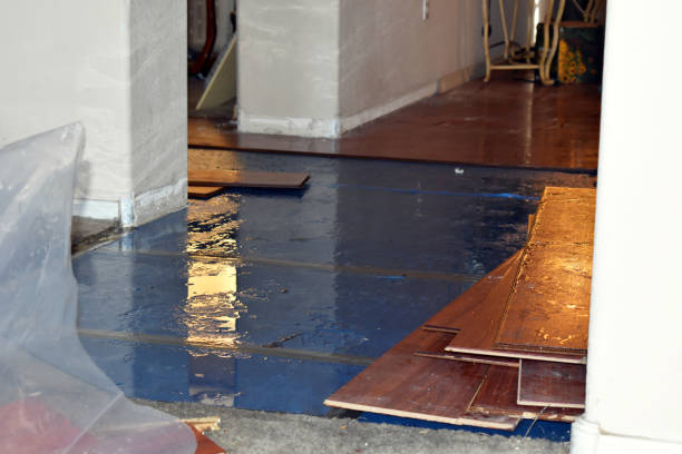 Professional Flood Damage Restoration technician working in Ross, CA
